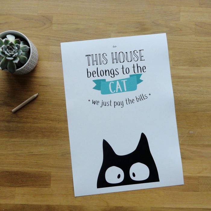 This house belongs to the cat – Image 3