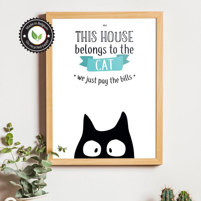 This house belongs to the cat – Image 2