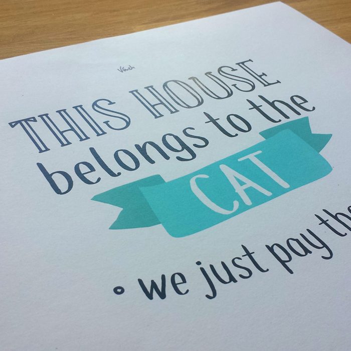 This house belongs to the cat – Image 4