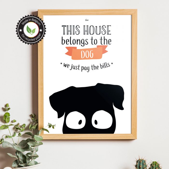 This house belongs to the dog – Image 2