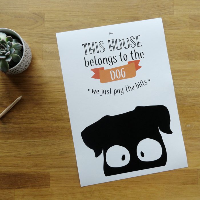 This house belongs to the dog – Image 3