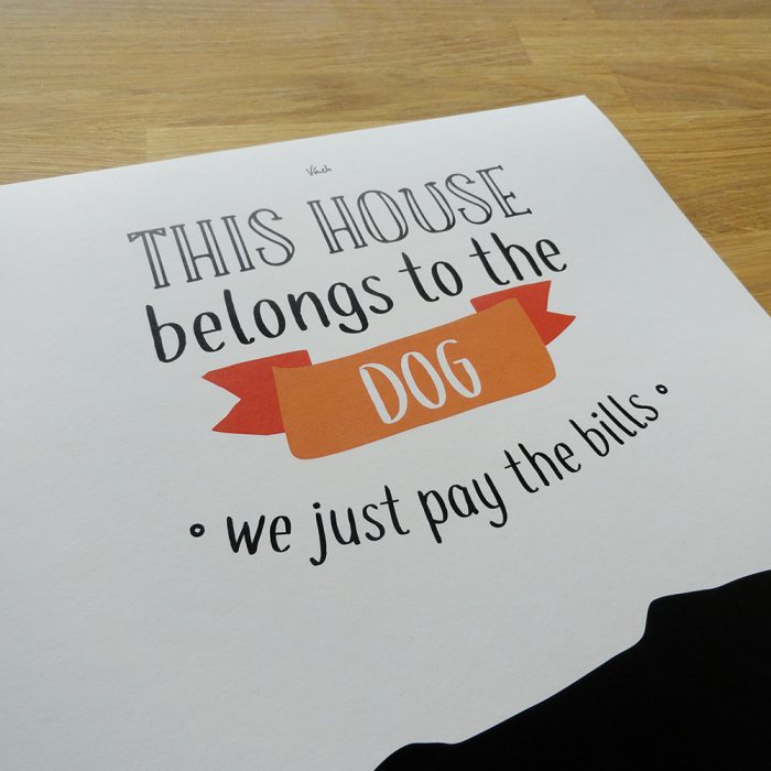This house belongs to the dog – Image 4